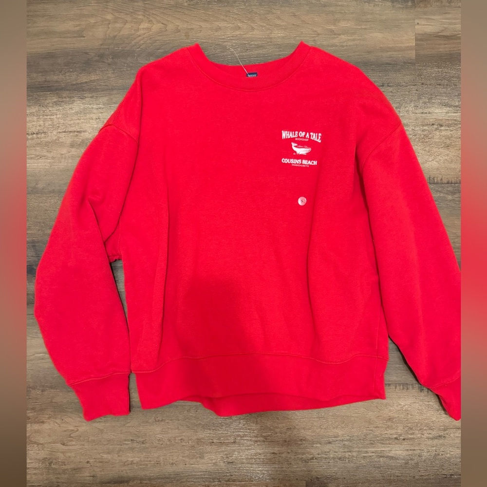 American Eagle Outfitters the summer I turned pretty whale of a tale book store